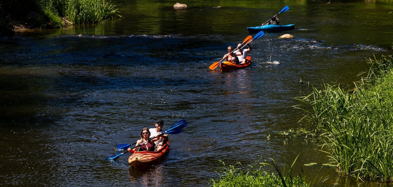 Najciekawsze atrakcje dla dzieci w okolicach Warszawy