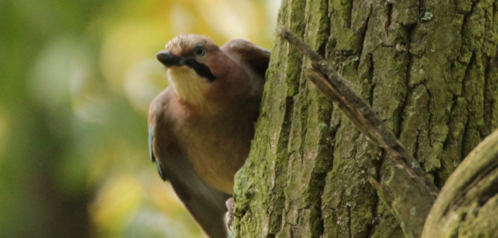 Czas przygotowań do zimy