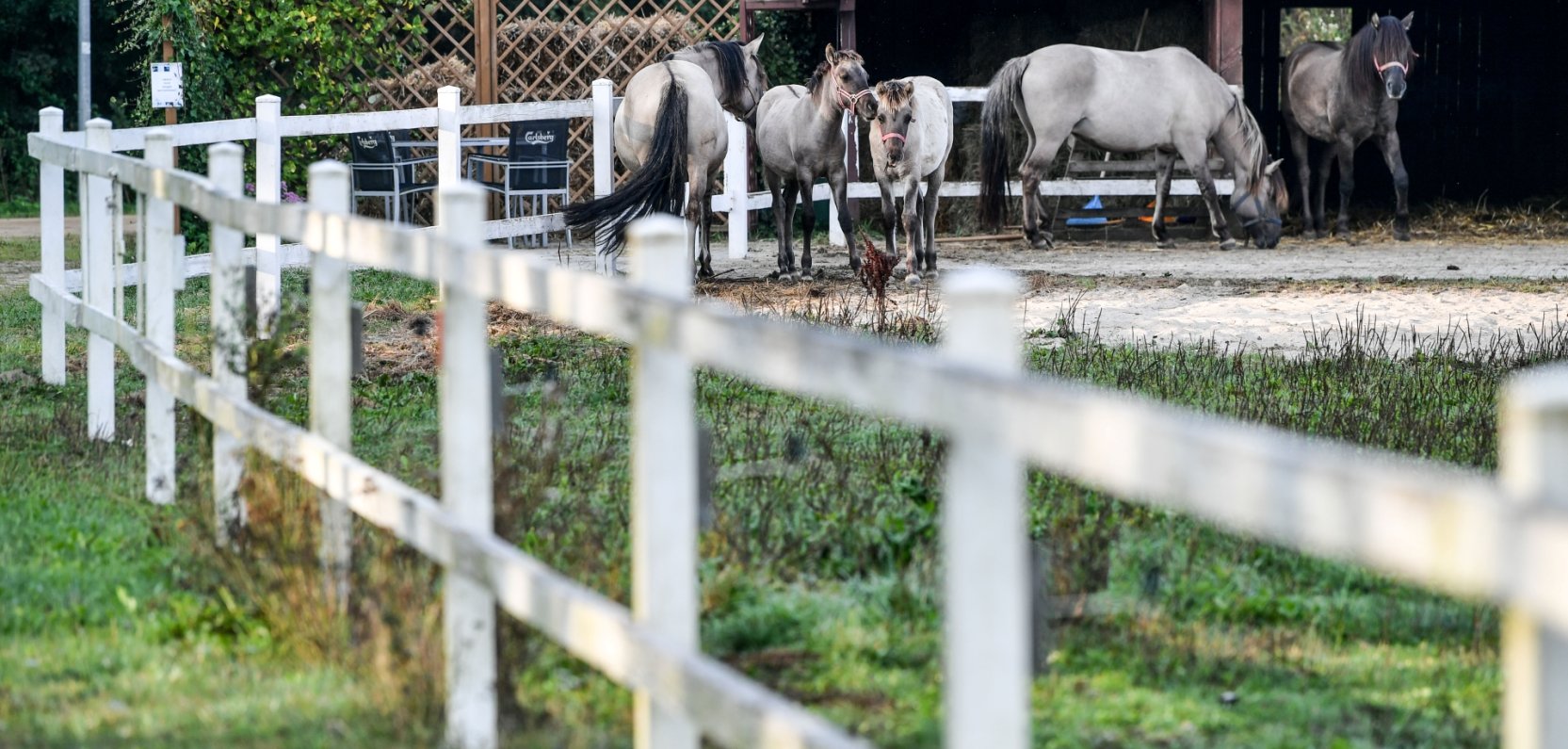 Najciekawsze atrakcje dla dzieci w okolicach Warszawy