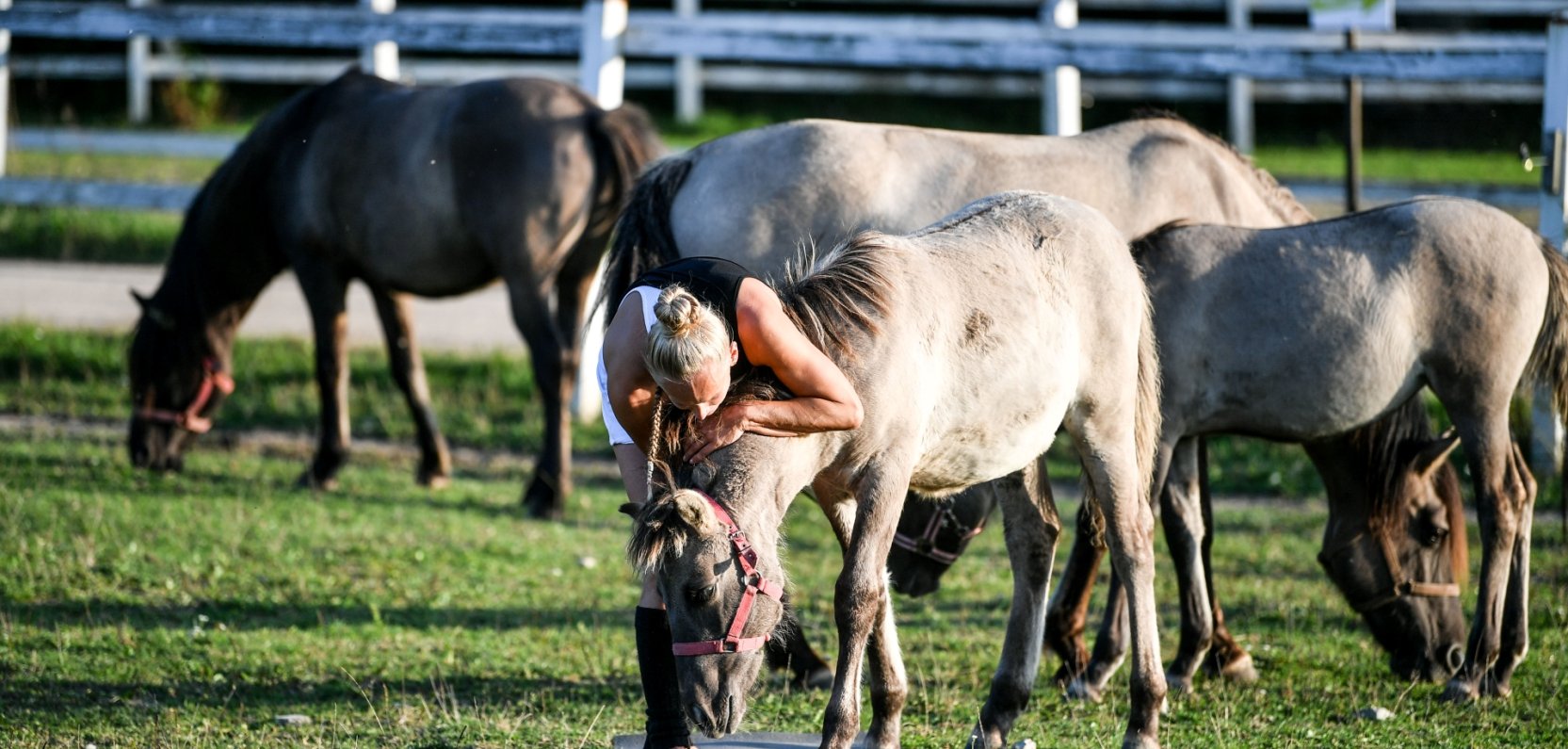 Najciekawsze atrakcje dla dzieci w okolicach Warszawy