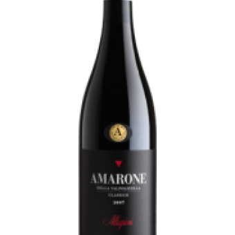 Winnica Allegrini podczas Art & Wine Weekend