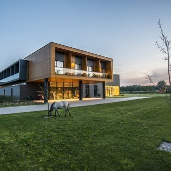 Wybraliśmy dyrektora generalnego BoniFaCio