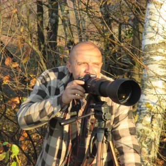 Sąsiad z leśnej dziczy