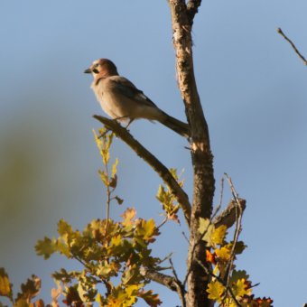 Czas przygotowań do zimy