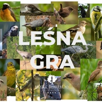 Leśna Gra Bonifacio