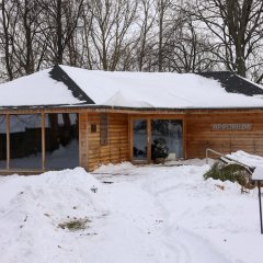 Morsowanie i sauna – zimowy rytuał Biowellness