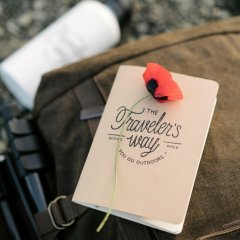 Wiosna w Górach Sowich – zaplanuj z nami aktywny wypoczynek!