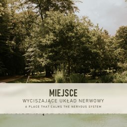 Dębowy Komplex