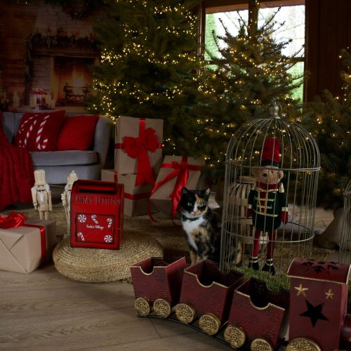 Boże Narodzenie 2025