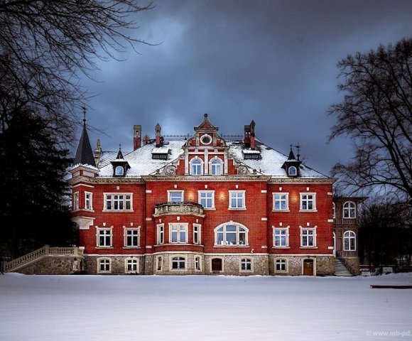 Świąteczne spotkania firmowe w rytmie Biowellness