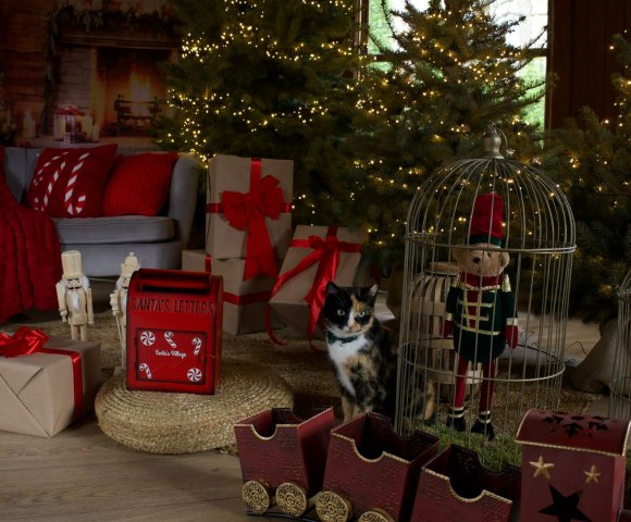 Świąteczne spotkania firmowe w rytmie Biowellness