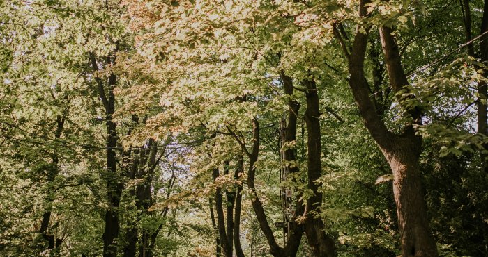 Zeitplan der Natur-Rituale