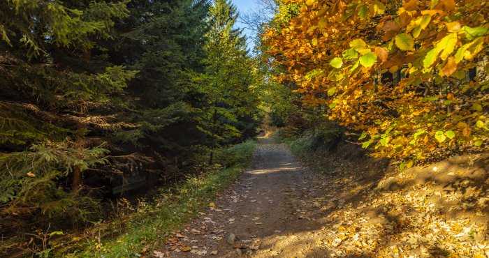 Harmonogram rytuałów natury