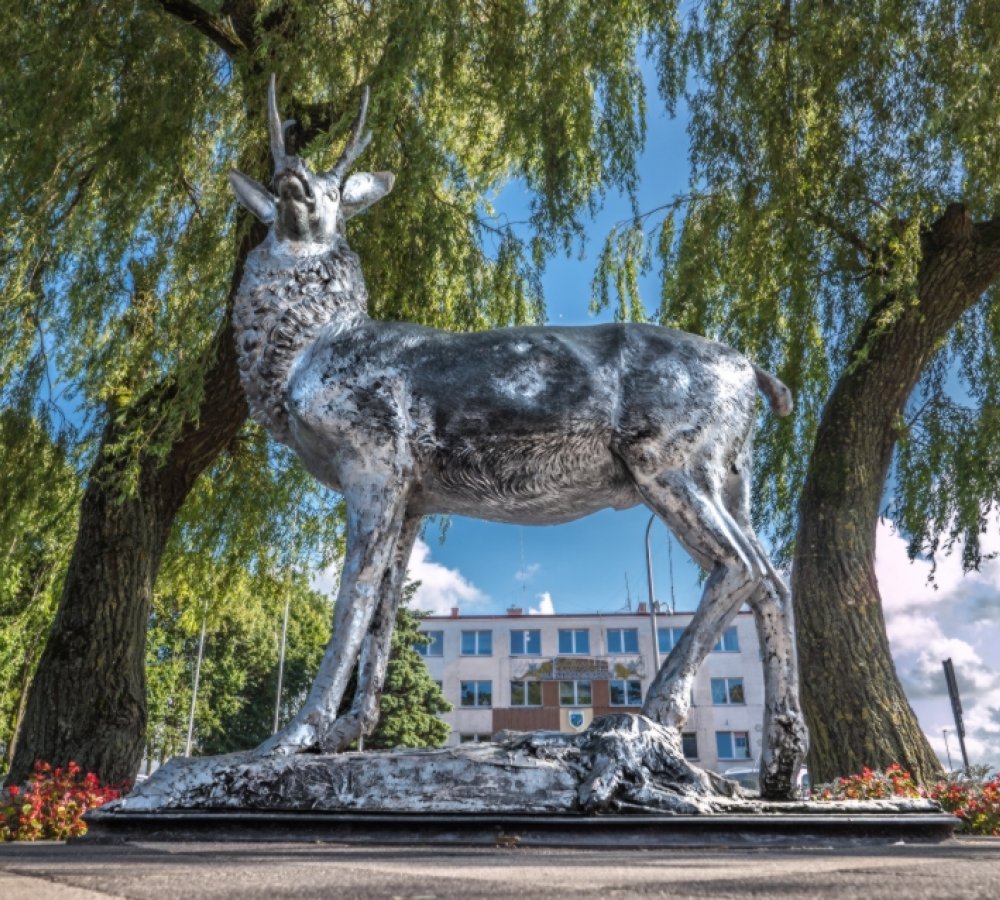 Pomnik Jelenia