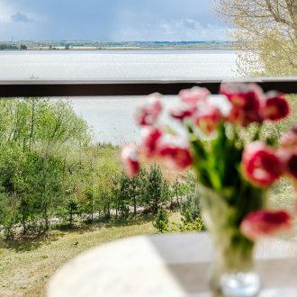 Absolutely top-notch!