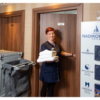 Perfekcyjna Pani Pokojowa