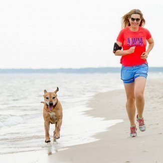 Hotel Przyjazny Zwierzętom