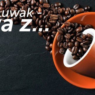 Kopi Luwak – kawa z…
