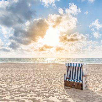 Bałtycki Park Dinozaurów – kiedy warto odwiedzić to miejsce?