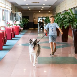 Gdzie pojechać na urlop z psem?