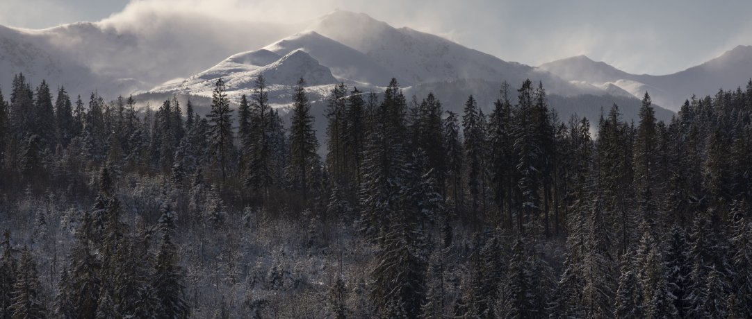 Dlaczego warto jechać w Tatry poza sezonem? 10 dobrych powodów