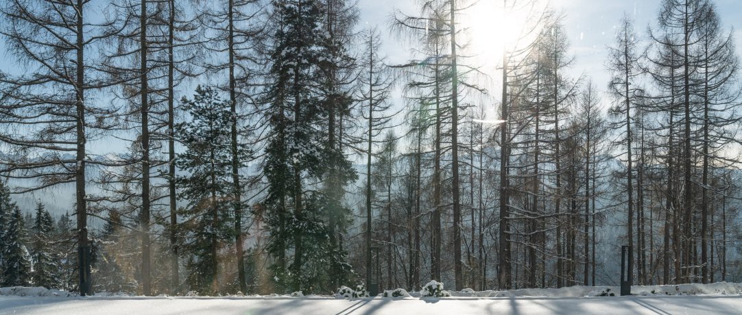 Luty w Tatrach &ndash; idealny czas na &bdquo;złapanie&rdquo; witaminy D