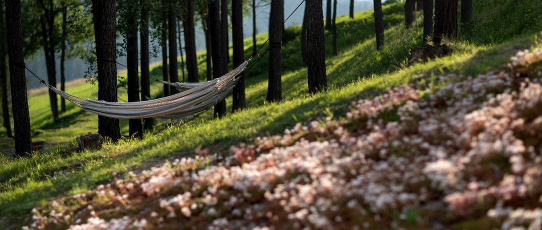 Sztuka górskiego hygge, czyli skandynawski sposób na szczęście pod Tatrami