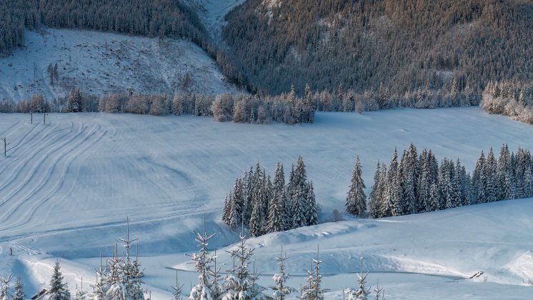 Luksusowy weekend w g&oacute;rach: jak w pełni wykorzystać pobyt w Hotelu HARNAŚ?