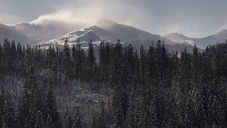 Dlaczego warto jechać w Tatry poza sezonem? 10 dobrych powod&oacute;w