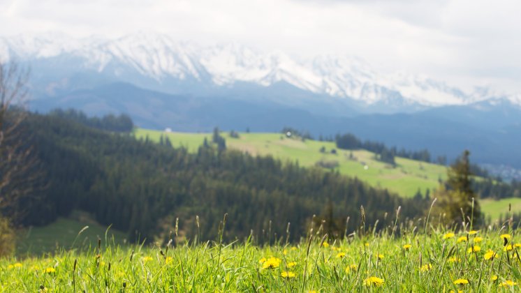 Gdzie pojechać na długi czerwcowy weekend? Bukowina Tatrzańska to zawsze dobry wyb&oacute;r!