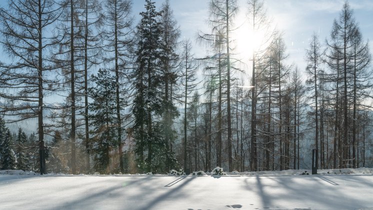Luty w Tatrach &ndash; idealny czas na &bdquo;złapanie&rdquo; witaminy D