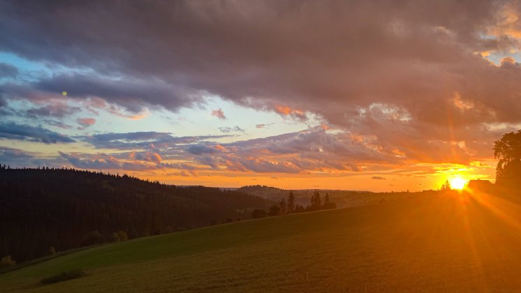 Jesienna sesja narzeczeńska w Tatrach. Plener w kolorach, jakich nie da lato