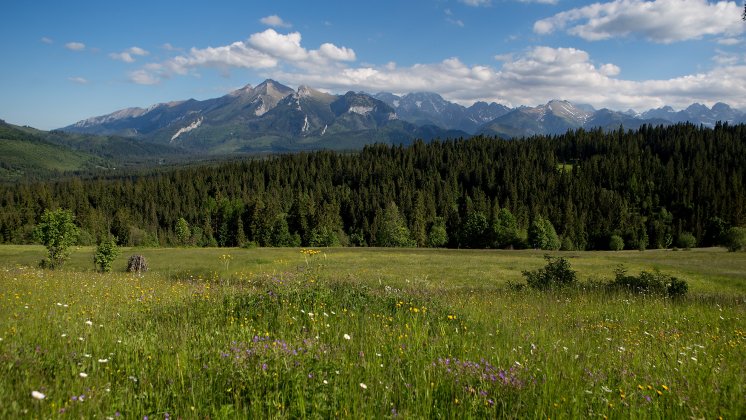 Pierwszy raz w Tatrach? Gdzie się zatrzymać i dlaczego&hellip; nie w Zakopanem?