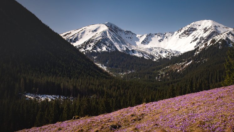 Wiosenne wycieczki w g&oacute;ry. Najpiękniejsze szlaki w Tatrach, kt&oacute;re nie wymagają ani sprzętu, ani świetnej kondycji