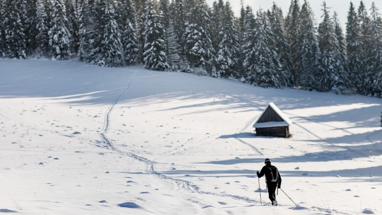 Aktywna zima w Tatrach &ndash; TOP 7 pomysł&oacute;w
