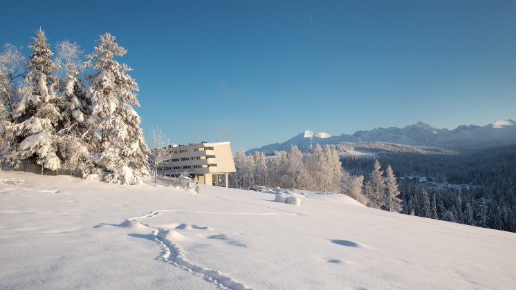 Zimowa sesja ślubna w plenerze &ndash; dlaczego Tatry to idealny plan zdjęciowy?