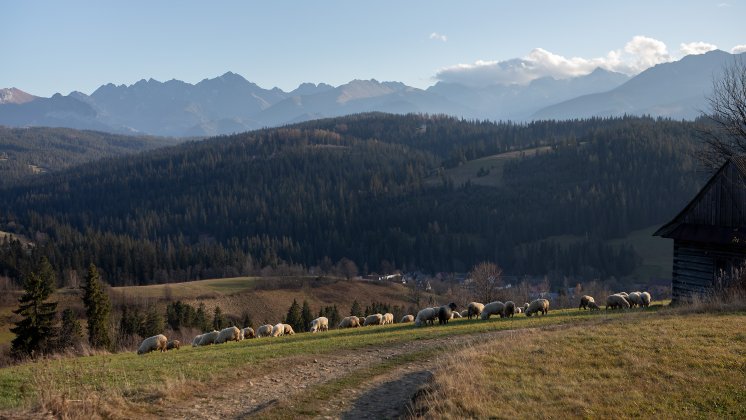 Trasy turystyczne w pobliżu Hotelu HARNAŚ 