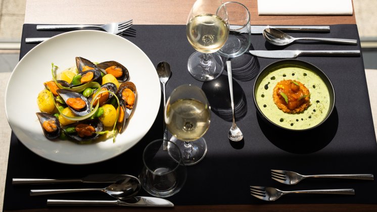 Weekend zaręczynowy z kolacją degustacyjną – gotowy plan pobytu we dwoje w Hotelu HARNAŚ