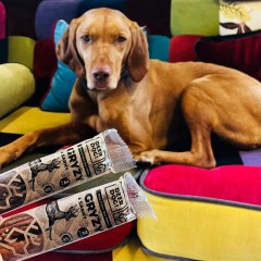 Wspólny konkurs Deer Dog i Boutique Hotel’s – wygraj weekendowy pobyt z psem!