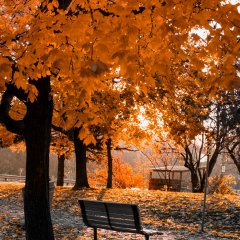 Jesienne atrakcje we Wrocławiu – jak spędzić deszczowy dzień w mieście?