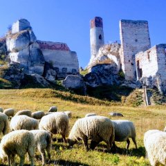 Jak aktywnie spędzić weekend w województwie śląskim?