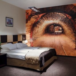 Boutique Hotel's <span>Bytom</span>