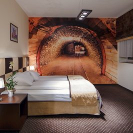 Boutique Hotel's <span>Bytom</span>