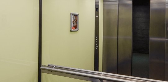 Galeria