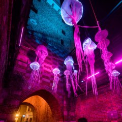 Noc Kultury w Lublinie