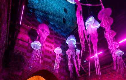 Noc Kultury w Lublinie