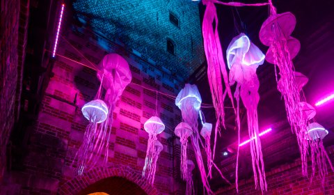 Noc Kultury w Lublinie