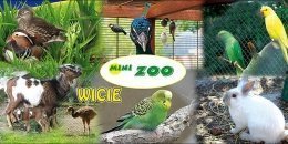 Mini zoo w Wiciu