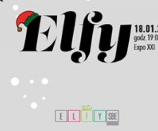 Gala Charytatywna ELFY SBE