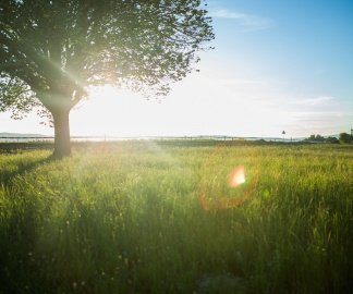 Holiday Inn Warszawa Józefów zorganizował bieg dla Ziemi